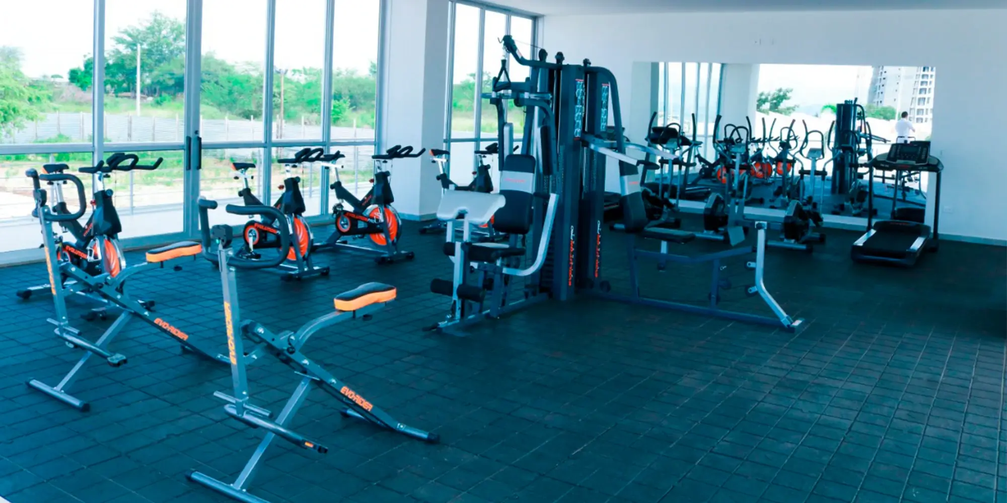 Gimnasio - Imagen 1